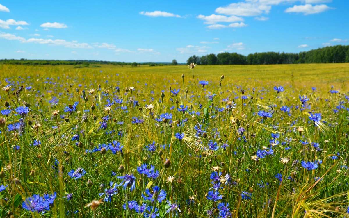 � ������� ���� ��������. ����� �������� �������� �� PhotoGeek.ru #������ ��� �������