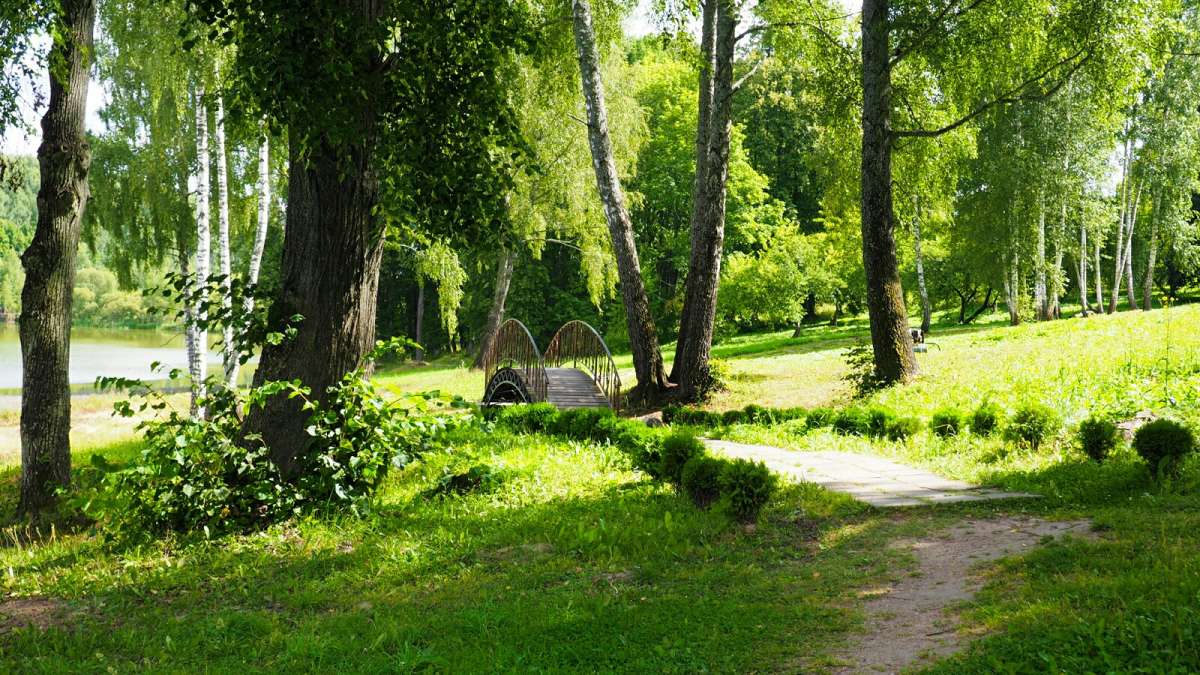 ����������� ������. ����� �������� �������� �� PhotoGeek.ru #������ ��� �������