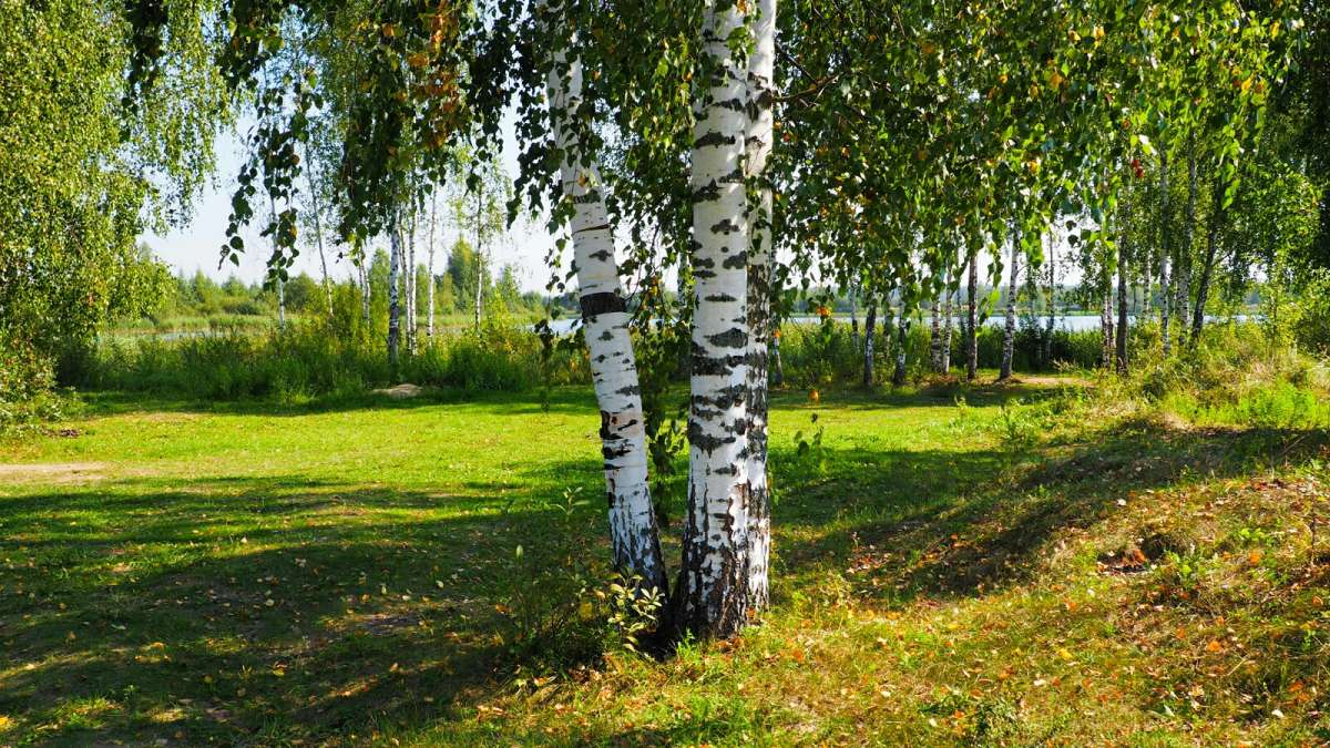 ����� ������ ������. ����� �������� �������� �� PhotoGeek.ru #������ ��� �������