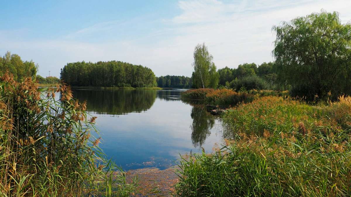 ������� ������ ����� �������� �������� �� PhotoGeek.ru #������ ��� �������