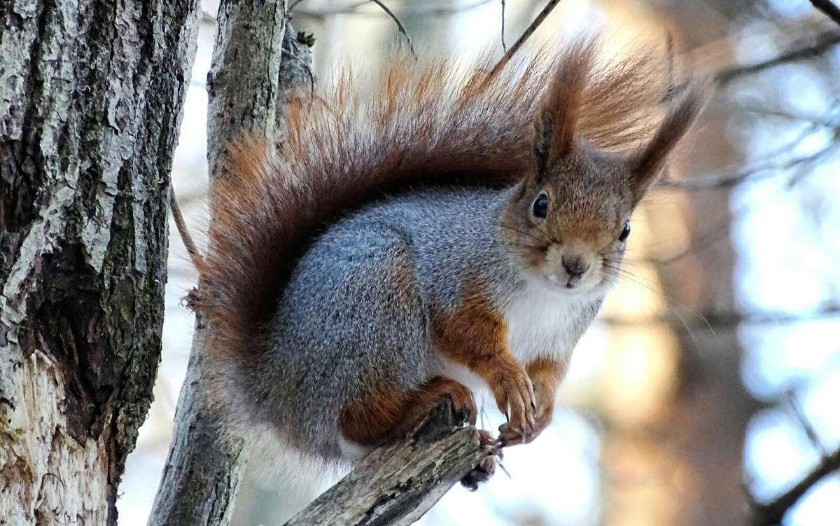 ����� ���������� �����. ����� �������� �������� �� PhotoGeek.ru #����� #�������� ���