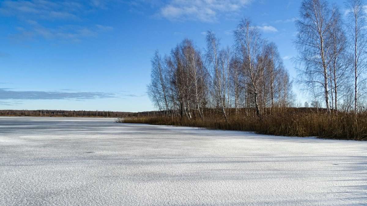 ��� ����. ����� �������� �������� �� PhotoGeek.ru #������ ��� �������