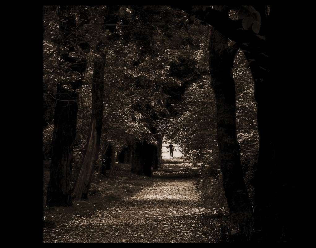 � ������� ����� ����� ������� �������� �� PhotoGeek.ru #������ ��� �������