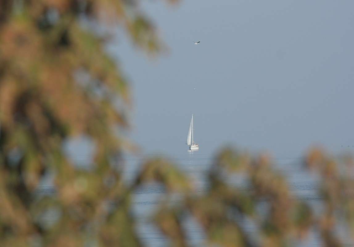 ����� �������� ����� ������� �������� �� PhotoGeek.ru #������ ��� �������