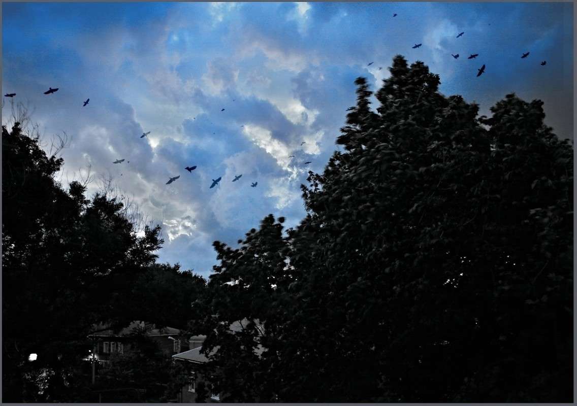 ���� �������� ����� ������� �������� �� PhotoGeek.ru #������ ��� �������