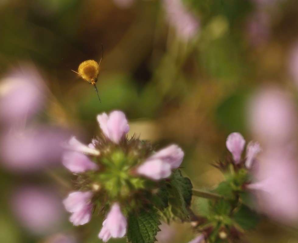 ������������ ������� ����� ������� �������� �� PhotoGeek.ru #������ ��� �������