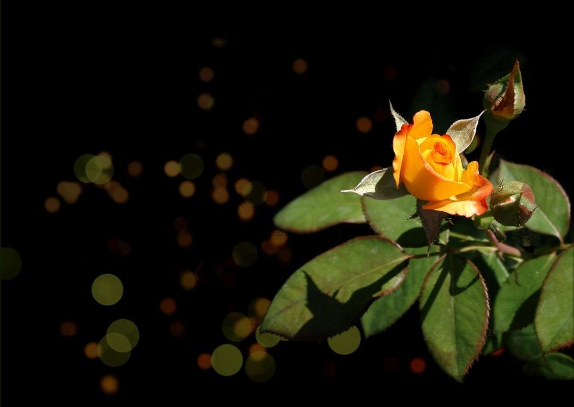 ������� �������� ���� ����� ������� �������� �� PhotoGeek.ru #������ ��� �������