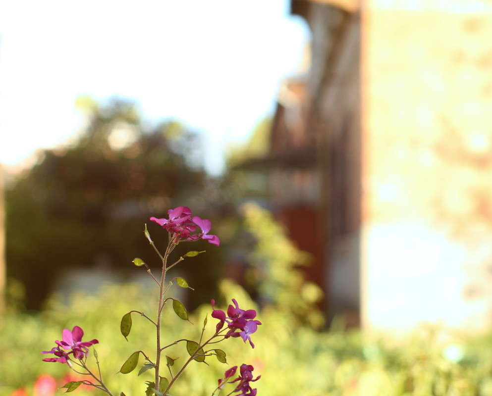 �������� ���� ����� ������� �������� �� PhotoGeek.ru #������ ��� �������