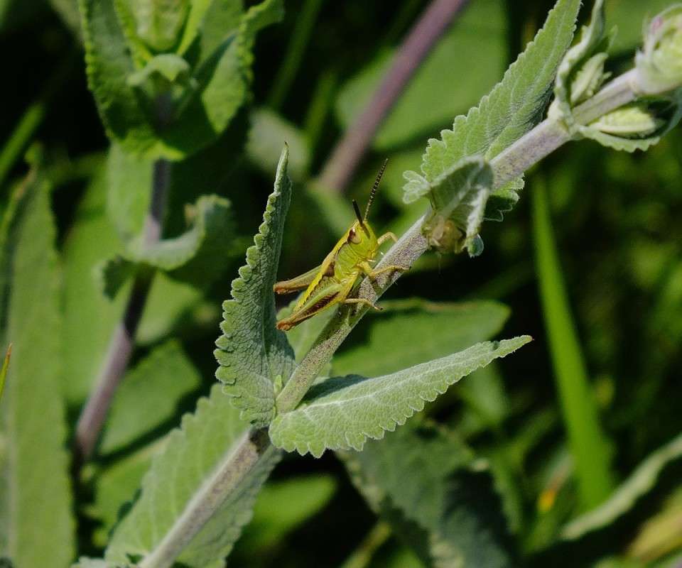 � ����� ����� ����� ������� �������� �� PhotoGeek.ru #������ ��� �������