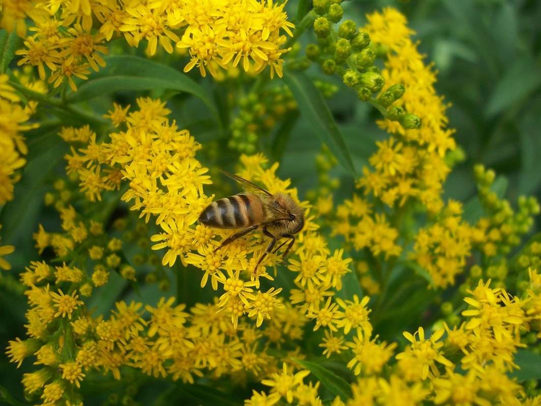 ������� ������������ ����� ������� �������� �� PhotoGeek.ru #������ ��� �������