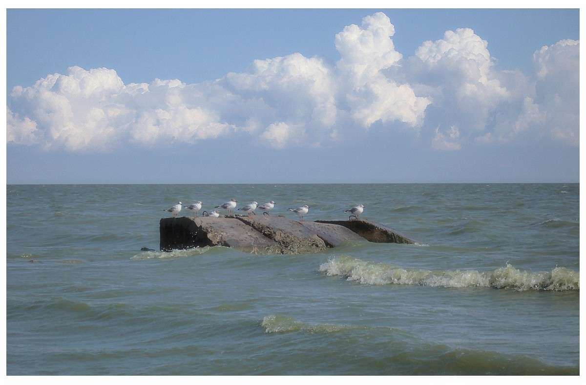 �� ������ ����� ������� �������� �� PhotoGeek.ru #������ ��� �������