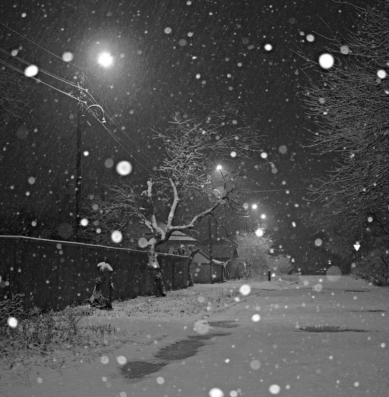 ������ ���� ����� ������� �������� �� PhotoGeek.ru #�����