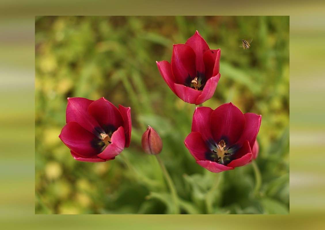 ������� �������� ����� ������� �������� �� PhotoGeek.ru #������ ��� �������