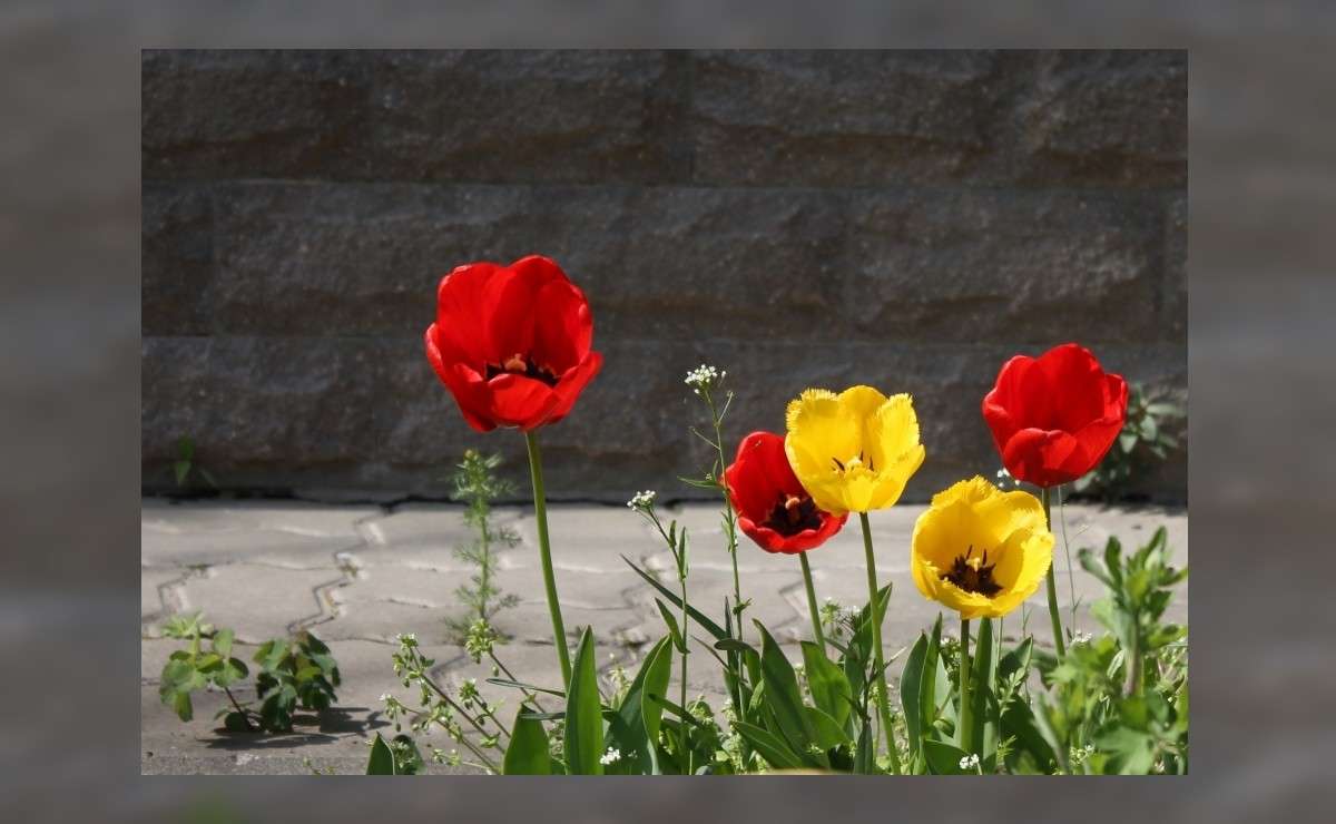 ������� �������� ����� ������� �������� �� PhotoGeek.ru #������ ��� �������