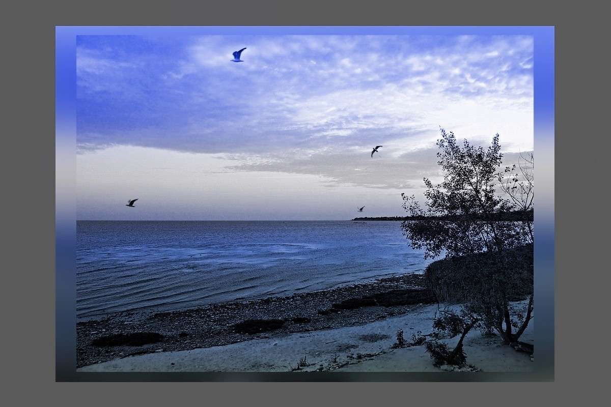 ��������� ����� ����� ������� �������� �� PhotoGeek.ru #������ ��� �������