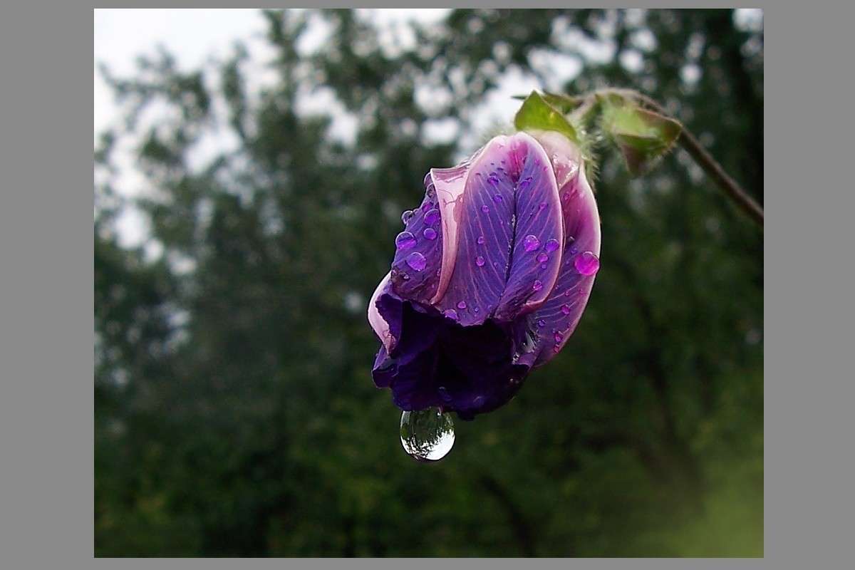 ������ ����� ����� ������� �������� �� PhotoGeek.ru #������ ��� �������