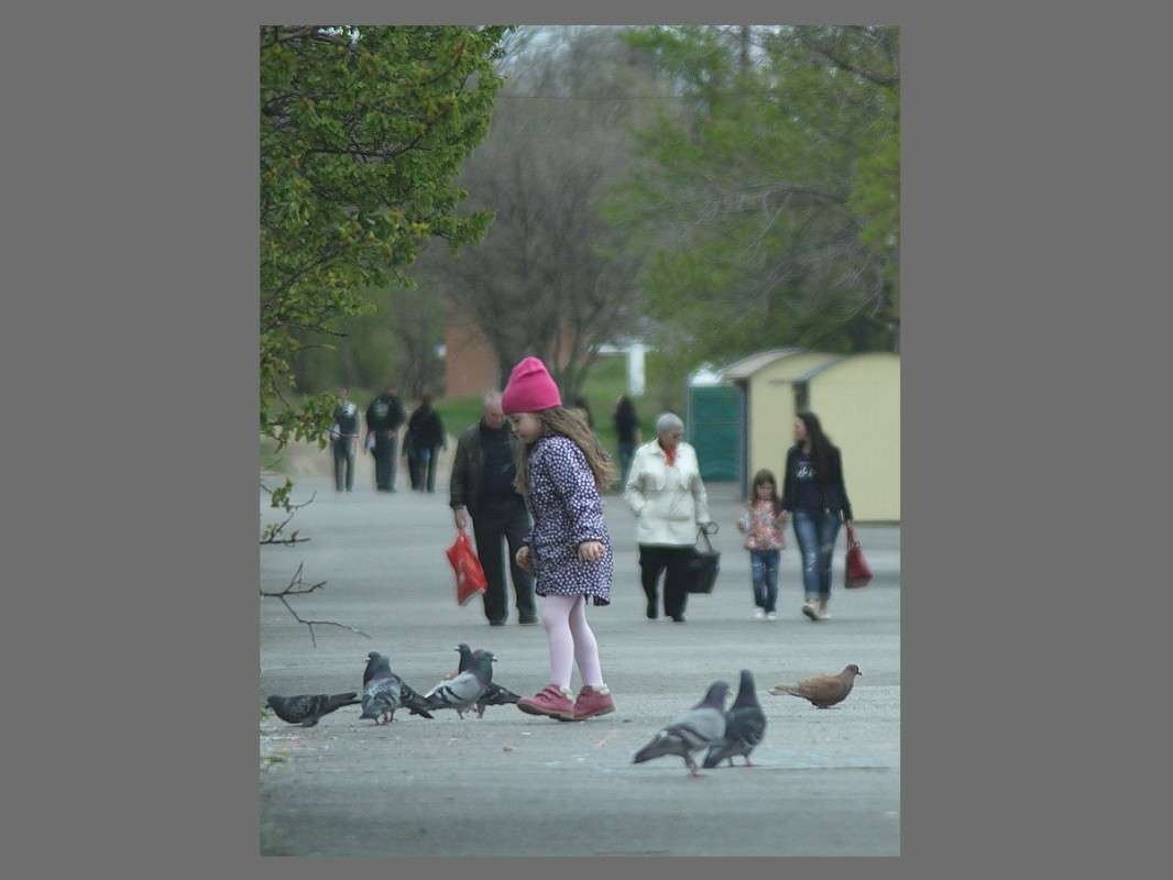 ����� �� �� ����� ����� ������� �������� �� PhotoGeek.ru #������ ��� �������