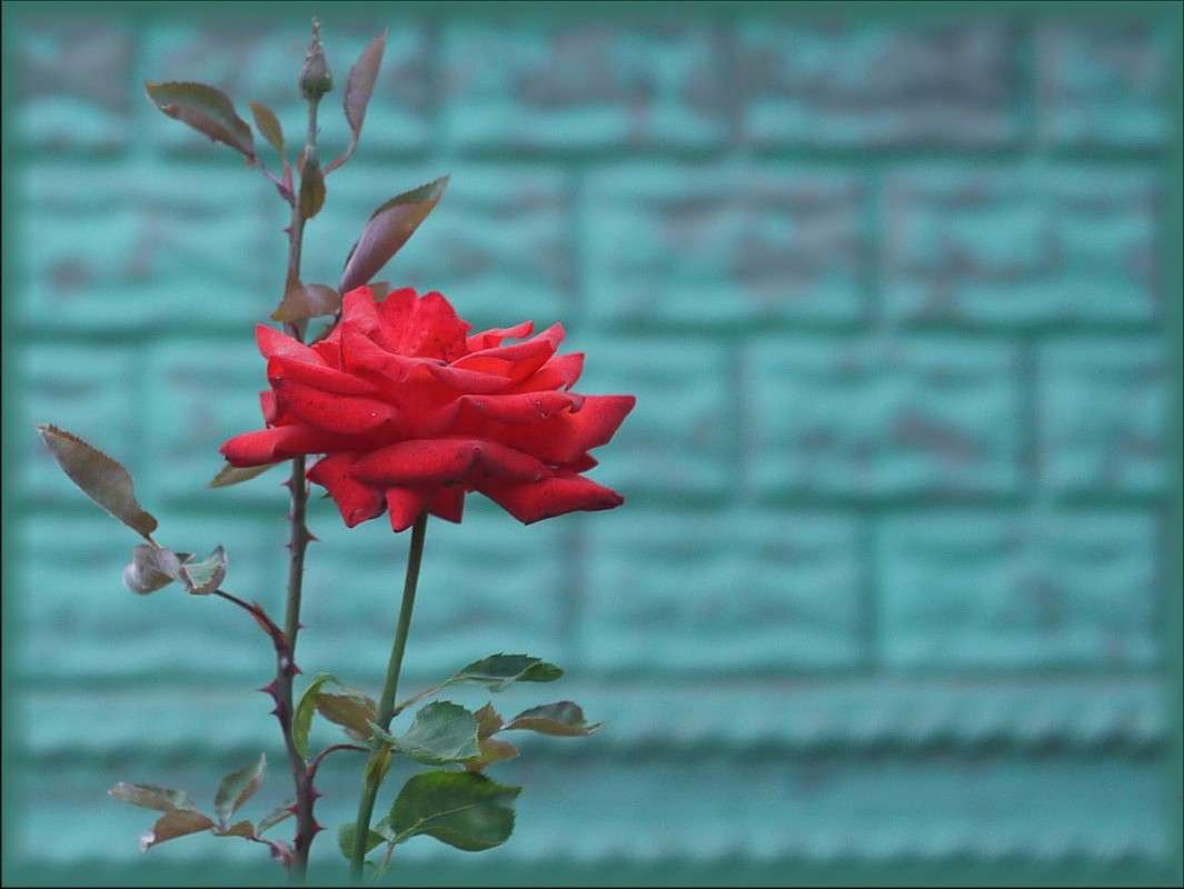 �������� ������� ���������� ����� ������� �������� �� PhotoGeek.ru #�����