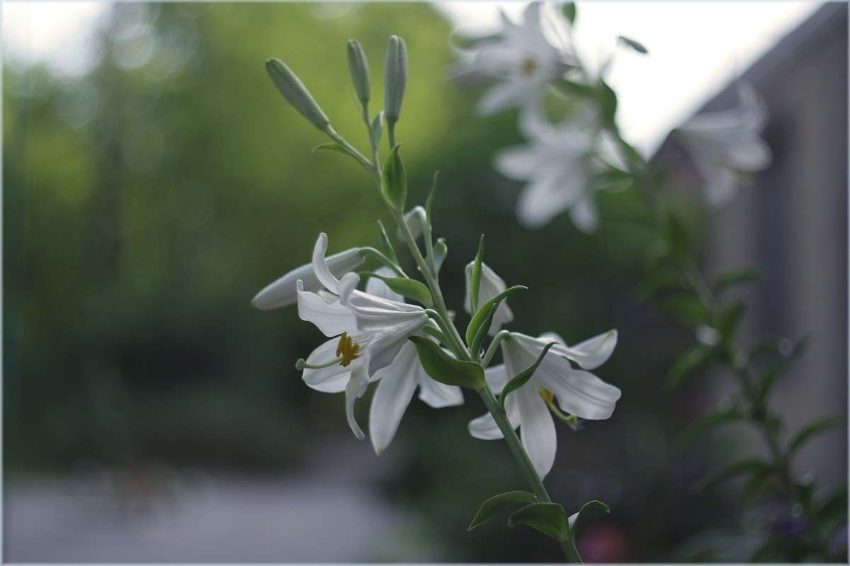 ������ ��������� ���� ����� ������� �������� �� PhotoGeek.ru #������ ��� �������