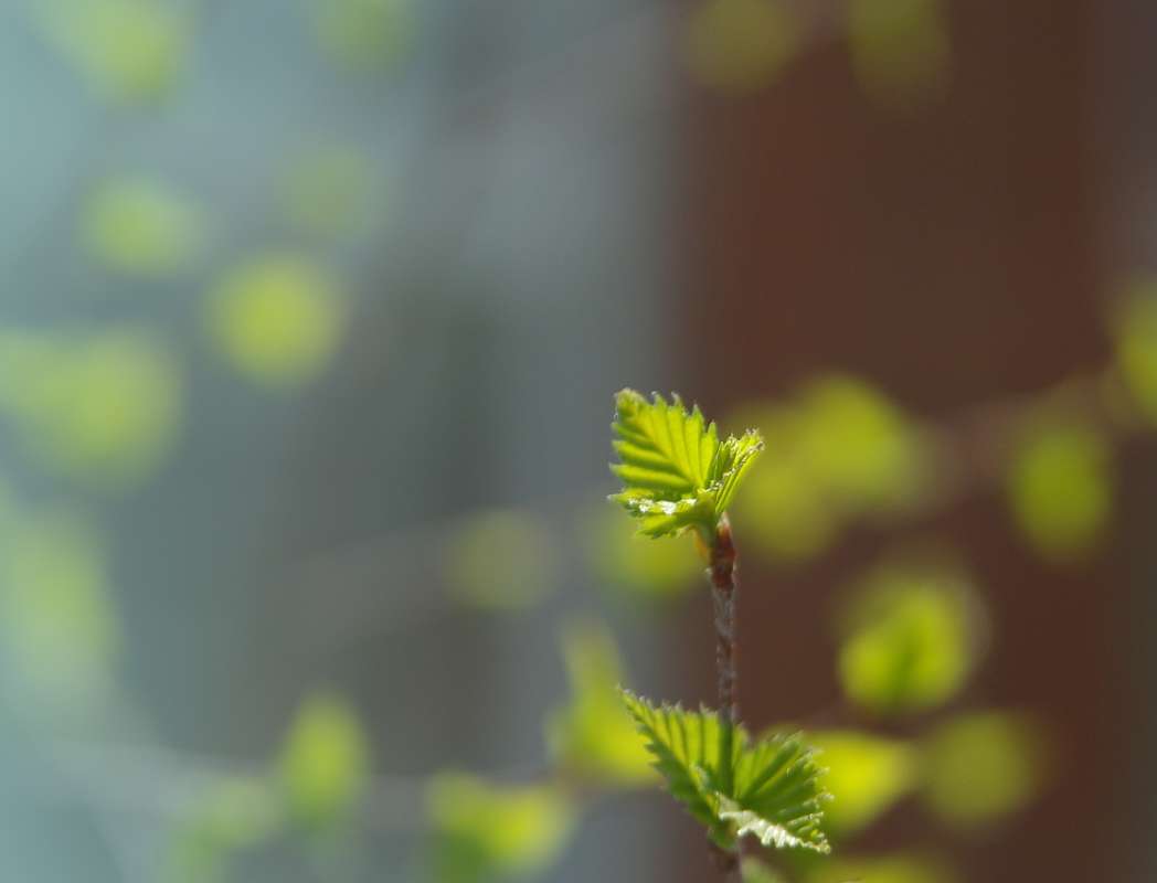 �������� ��������� ����� ������� �������� �� PhotoGeek.ru #������ ��� �������