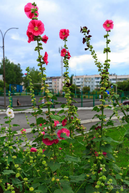 ��������� ����� ����� ������ ��������� �� PhotoGeek.ru #������ ��� �������