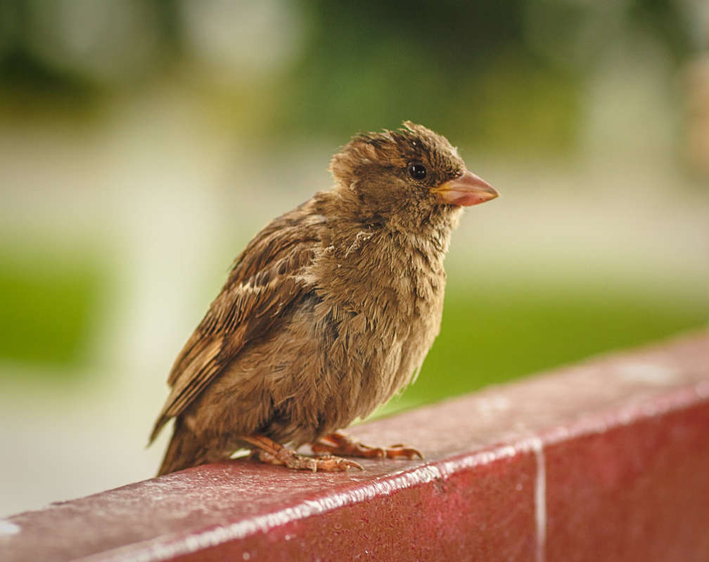 ������ ����� ������ ��������� �� PhotoGeek.ru #������ ����