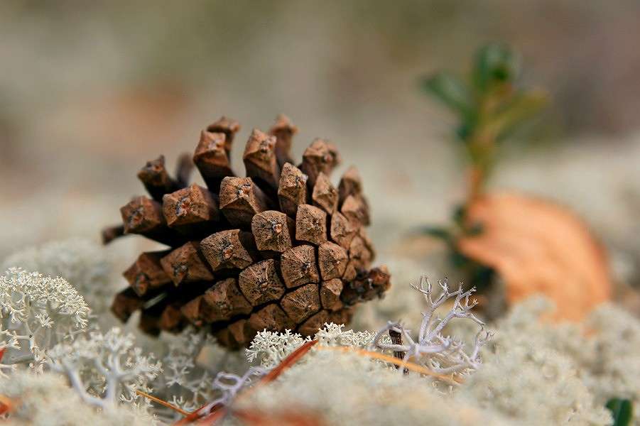 ... ����� Victoria Rubtsova �� PhotoGeek.ru #������ ��� �������