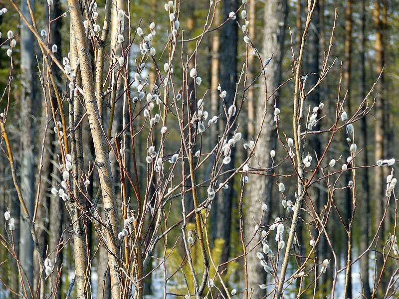 ... ����� Victoria Rubtsova �� PhotoGeek.ru #������ ��� ������� #���������