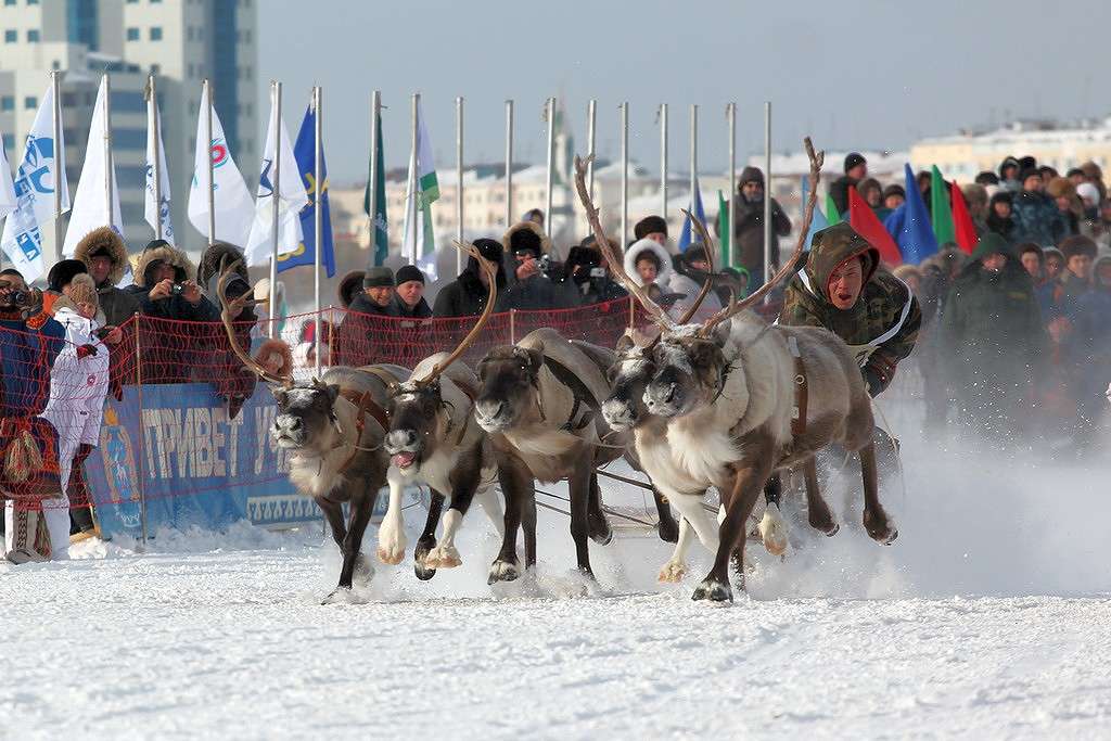 ... ����� Victoria Rubtsova �� PhotoGeek.ru #��������