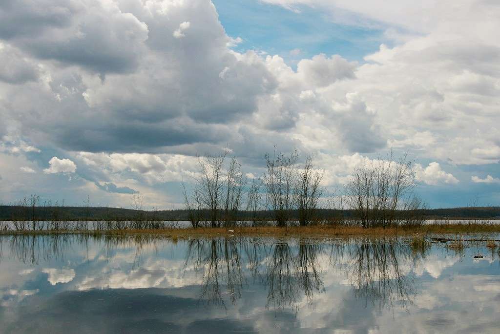 ... ����� Victoria Rubtsova �� PhotoGeek.ru #������ ��� �������