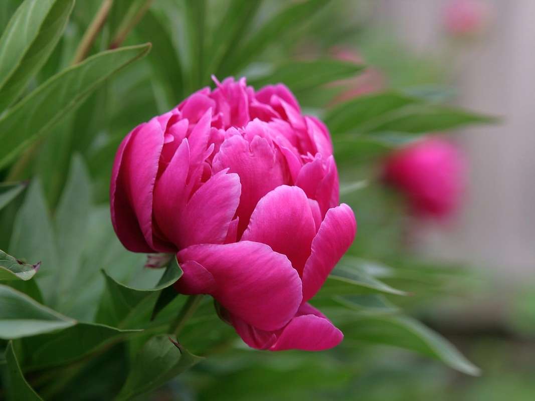 ... ����� Victoria Rubtsova �� PhotoGeek.ru #������ ��� �������