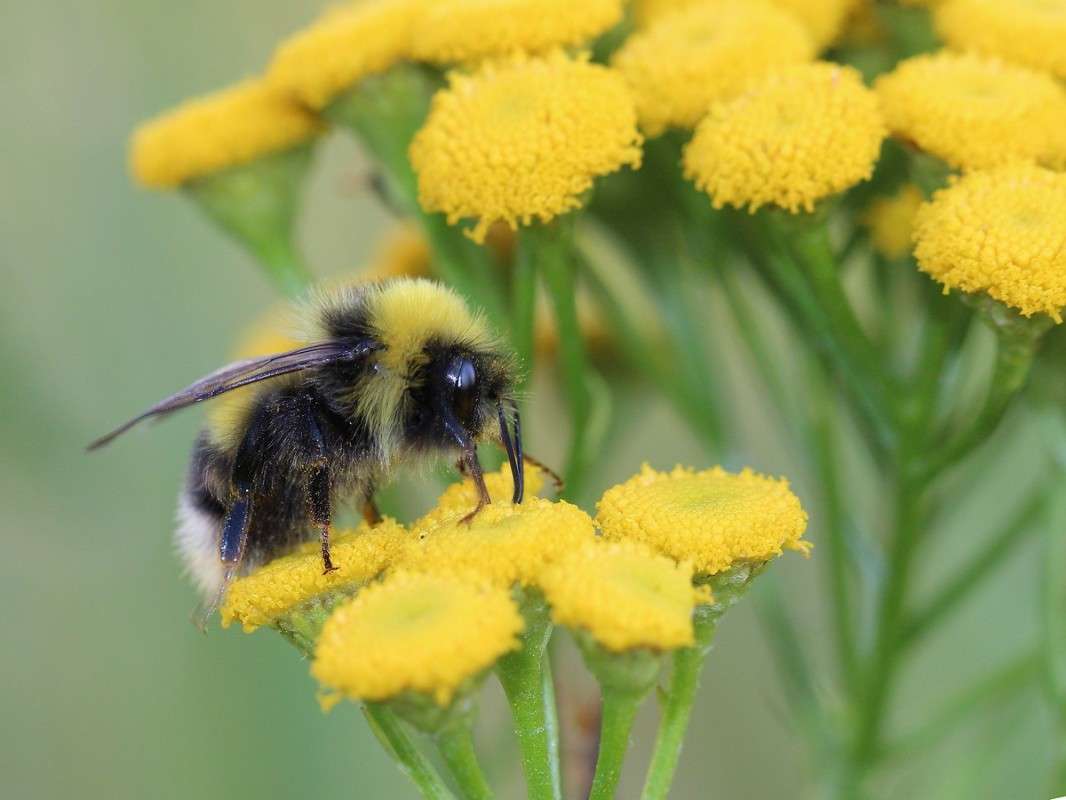 *** ����� Victoria Rubtsova �� PhotoGeek.ru #����� #�������� ���