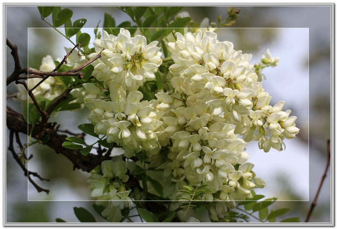 ������ ����� Victoria Rubtsova �� PhotoGeek.ru #������ ��� �������