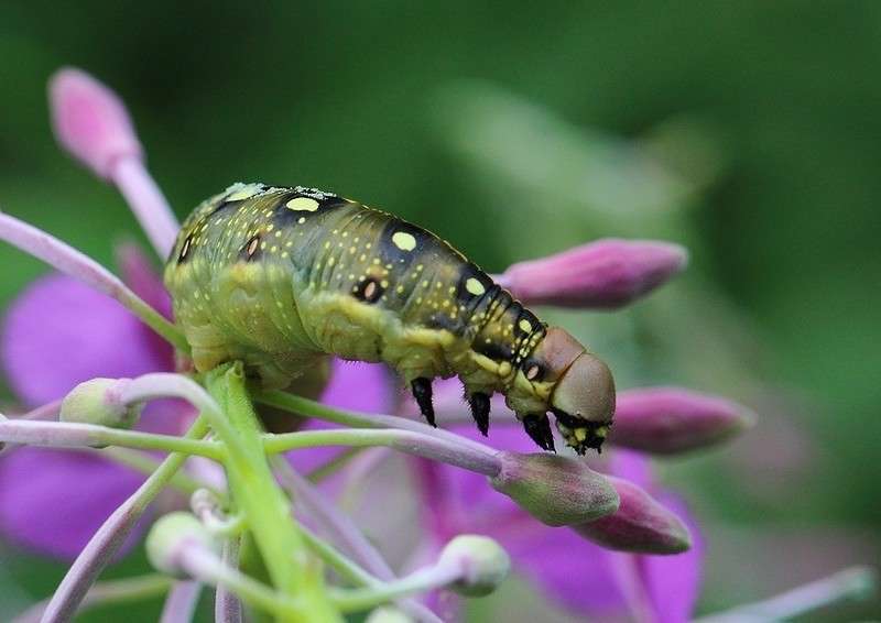 ... ����� Victoria Rubtsova �� PhotoGeek.ru #�����