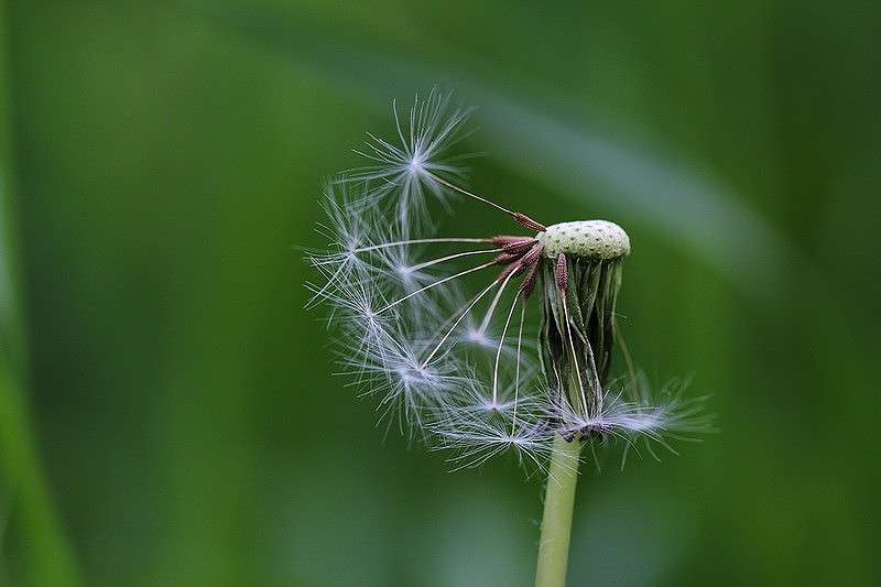 ... ����� Victoria Rubtsova �� PhotoGeek.ru #����� #������ ��� �������