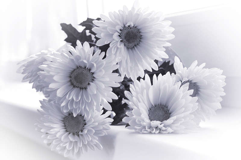 ... ����� Victoria Rubtsova �� PhotoGeek.ru #���������