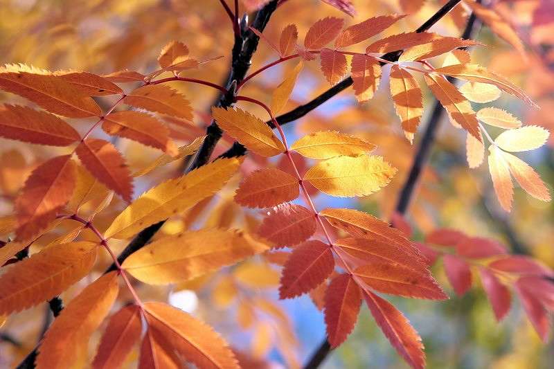 ... ����� Victoria Rubtsova �� PhotoGeek.ru #������ ��� �������