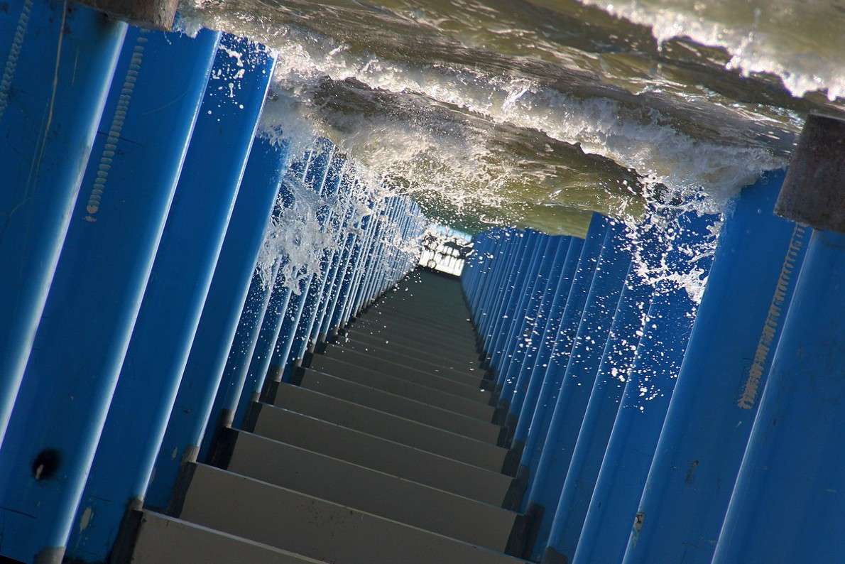 ... ����� Victoria Rubtsova �� PhotoGeek.ru #��������