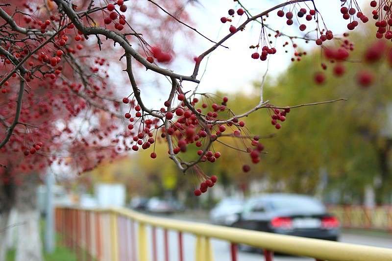 ... ����� Victoria Rubtsova �� PhotoGeek.ru #�����