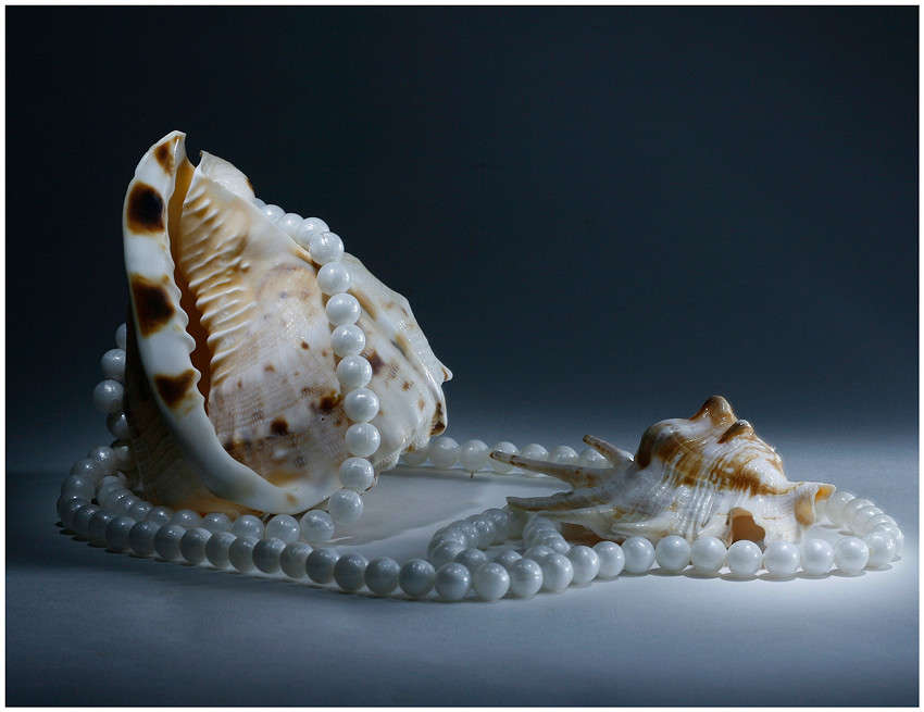 ... ����� Victoria Rubtsova �� PhotoGeek.ru #���������