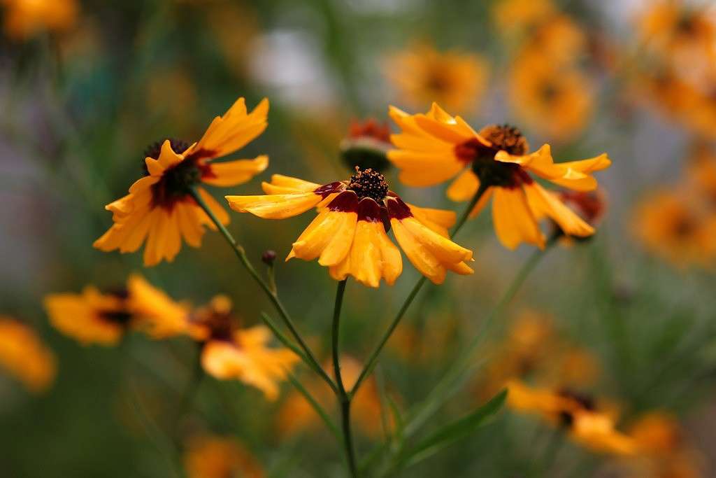 ... ����� Victoria Rubtsova �� PhotoGeek.ru #������ ��� �������