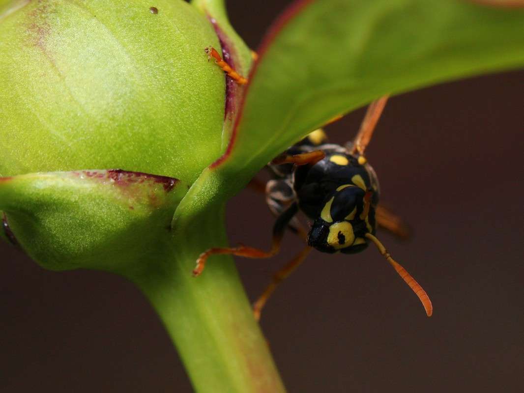 ... ����� Victoria Rubtsova �� PhotoGeek.ru #�������� ���