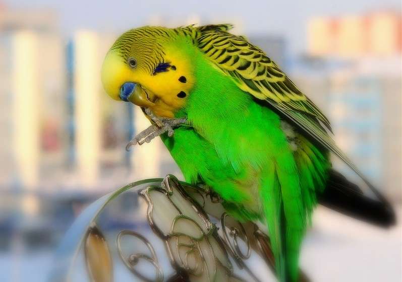 ... ����� Victoria Rubtsova �� PhotoGeek.ru #�������� ���