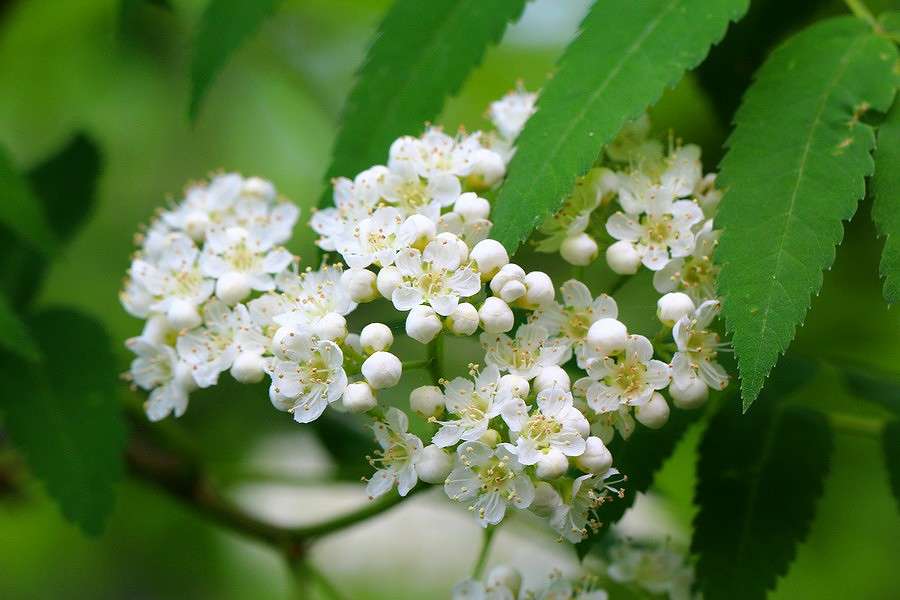 ... ����� Victoria Rubtsova �� PhotoGeek.ru #������ ��� �������