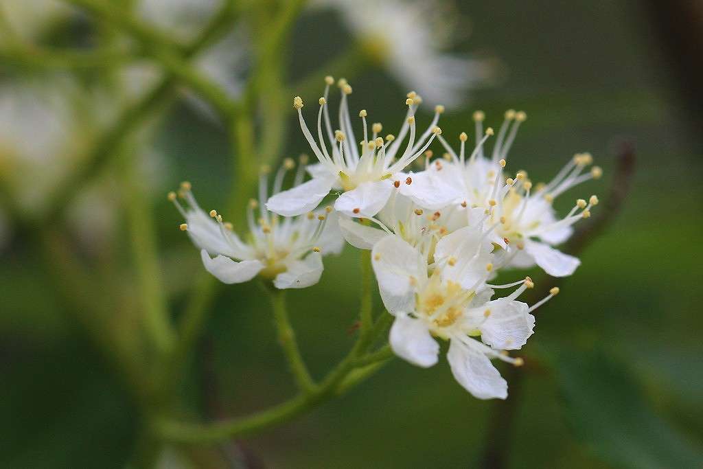 ... ����� Victoria Rubtsova �� PhotoGeek.ru #������ ��� ������� #����� ��������������