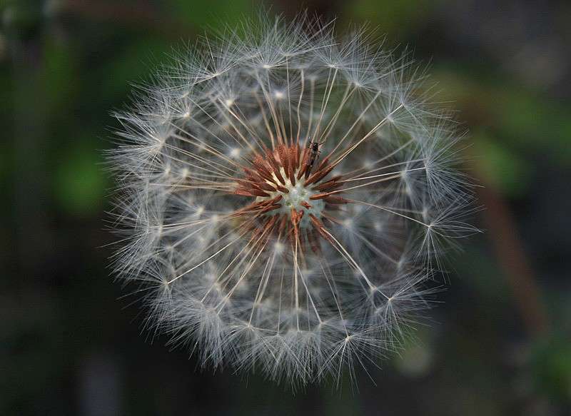 ... ����� Victoria Rubtsova �� PhotoGeek.ru #������ ��� ������� #����� ��������������