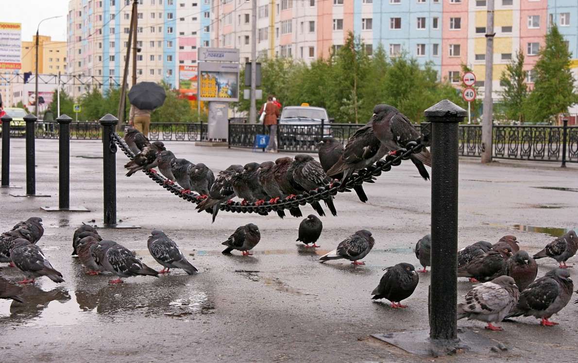 ��������� �����))) ����� Victoria Rubtsova �� PhotoGeek.ru #�������� ��� #�������� ���������� #���������������