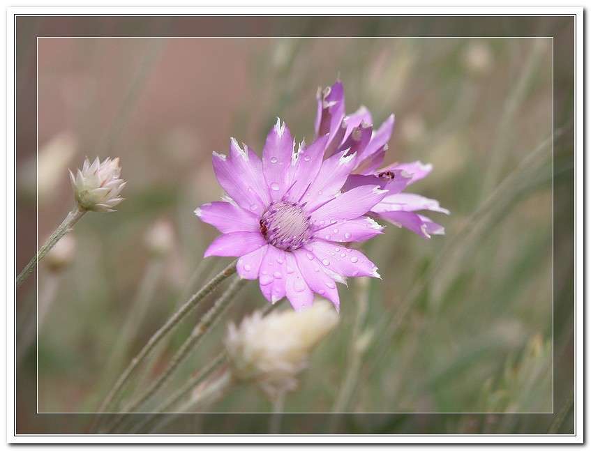 ... ����� Victoria Rubtsova �� PhotoGeek.ru #������ ��� �������