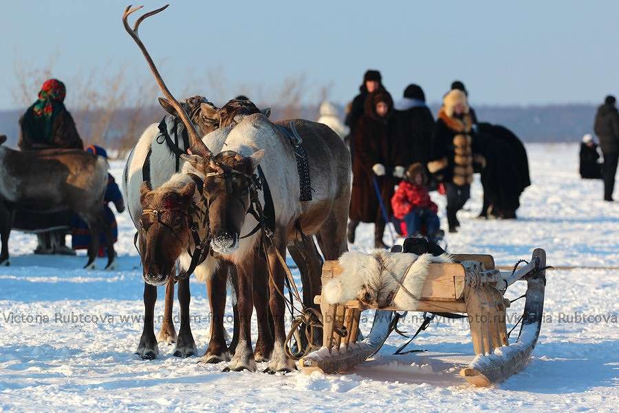 ... ����� Victoria Rubtsova �� PhotoGeek.ru #������� #�������� ��� #��������