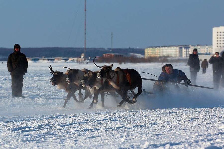... ����� Victoria Rubtsova �� PhotoGeek.ru #������� #��������